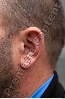 Ear texture of street references 337 0001